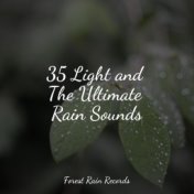 35 Light and The Ultimate Rain Sounds