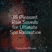 35 Pleasant Rain Sounds for Ultimate Spa Relaxation