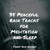 35 Peaceful Rain Tracks for Meditation and Sleep