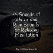 35 Sounds of Water and Rain Sounds for Relaxing Meditation