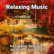 zZZz Relaxing Music for Sleeping, Relaxation, Studying, to Feel Better