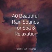 40 Beautiful Rain Sounds for Spa & Relaxation