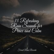 35 Refreshing Rain Sounds for Peace and Calm