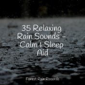 35 Relaxing Rain Sounds - Calm & Sleep Aid