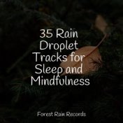 35 Rain Droplet Tracks for Sleep and Mindfulness