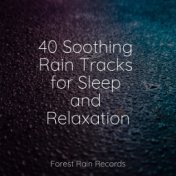 40 Soothing Rain Tracks for Sleep and Relaxation