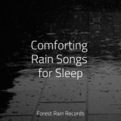 Comforting Rain Songs for Sleep
