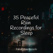 35 Peaceful Rain Recordings for Sleep