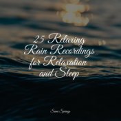 25 Relaxing Rain Recordings for Relaxation and Sleep