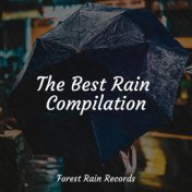 The Best Rain Compilation