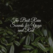 The Best Rain Sounds for Yoga and Rest