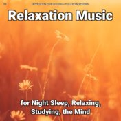 #01 Relaxation Music for Night Sleep, Relaxing, Studying, the Mind