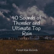 40 Sounds of Thunder and Ultimate Top Rain