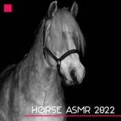 Horse ASMR 2022