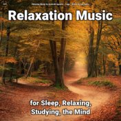 #01 Relaxation Music for Sleep, Relaxing, Studying, the Mind