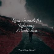 Rain Sounds for Relaxing Meditation