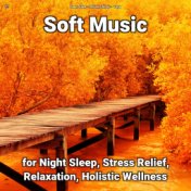!!!! Soft Music for Night Sleep, Stress Relief, Relaxation, Holistic Wellness