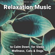 #01 Relaxation Music to Calm Down, for Sleep, Wellness, Cats & Dogs