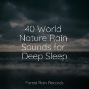 40 World Nature Rain Sounds for Deep Sleep