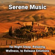 #01 Serene Music for Night Sleep, Relaxing, Wellness, to Release Emotions