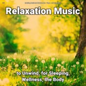 #01 Relaxation Music to Unwind, for Sleeping, Wellness, the Body