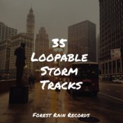 35 Loopable Storm Tracks