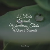 25 Rain Sounds: Wondrous Theta Wave Sounds