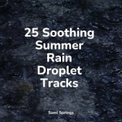 25 Soothing Summer Rain Droplet Tracks