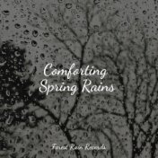 Comforting Spring Rains