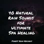 40 Natural Rain Sounds for Ultimate Spa Healing