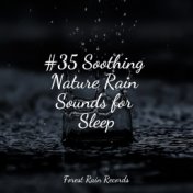#35 Soothing Nature Rain Sounds for Sleep