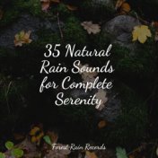 35 Natural Rain Sounds for Complete Serenity