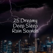 25 Dreamy Deep Sleep Rain Sounds