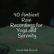 40 Ambient Rain Recordings for Yoga and Serenity
