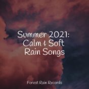 Summer 2021: Calm & Soft Rain Songs