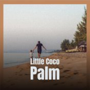 Little Coco Palm