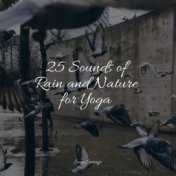 25 Sounds of Rain and Nature for Yoga