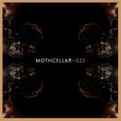 Mothcellar 022