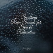 25 Soothing Rain Sounds for Spa & Relaxation