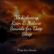 35 Relaxing Rain & Nature Sounds for Deep Sleep