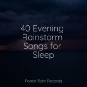 40 Evening Rainstorm Songs for Sleep