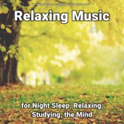 #01 Relaxing Music for Night Sleep, Relaxing, Studying, the Mind