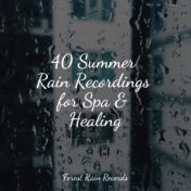 40 Summer Rain Recordings for Spa & Healing