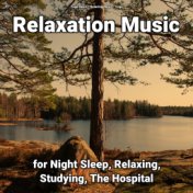 !!!! Relaxation Music for Night Sleep, Relaxing, Studying, The Hospital