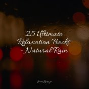 25 Ultimate Relaxation Tracks - Natural Rain