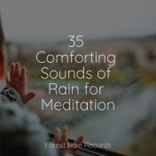 35 Comforting Sounds of Rain for Meditation