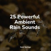 Calming Rain Sounds