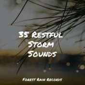 35 Restful Storm Sounds