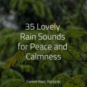 35 Lovely Rain Sounds for Peace and Calmness