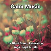 zZZz Calm Music for Night Sleep, Relaxation, Yoga, Dogs & Cats